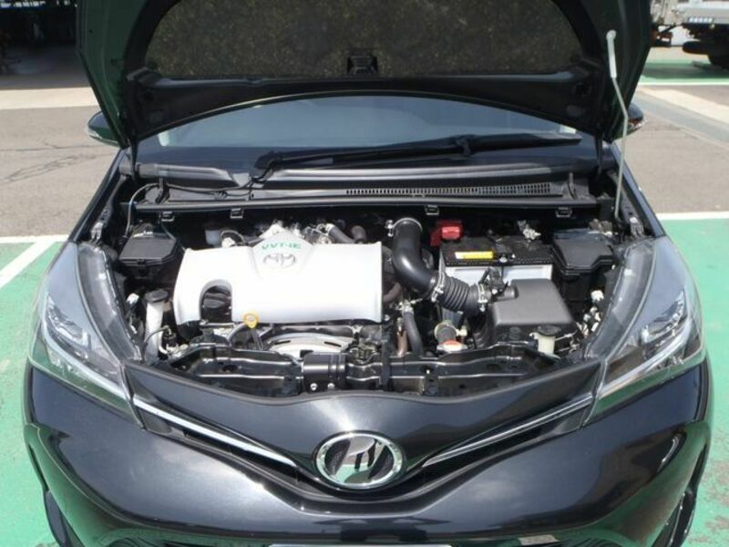 VITZ