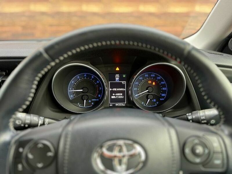 AURIS