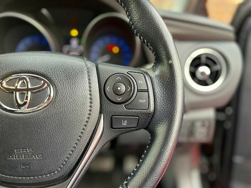 AURIS