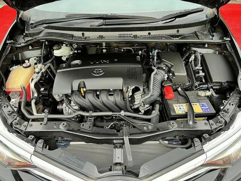 AURIS