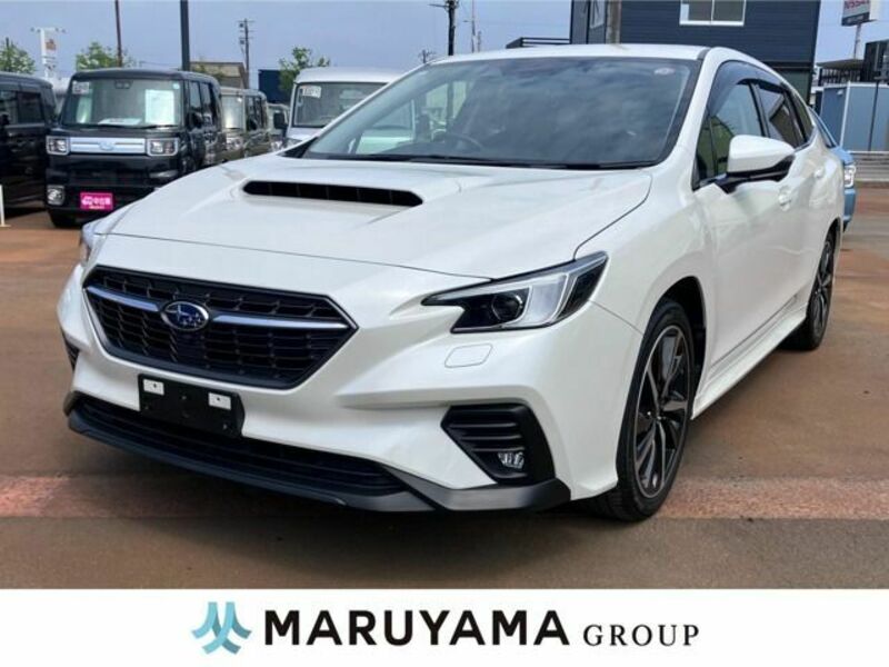 LEVORG-0