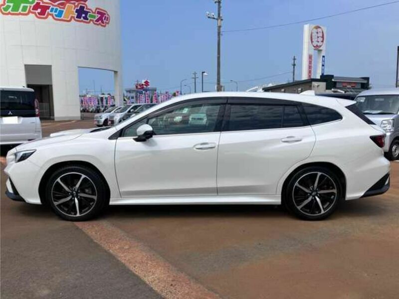 LEVORG