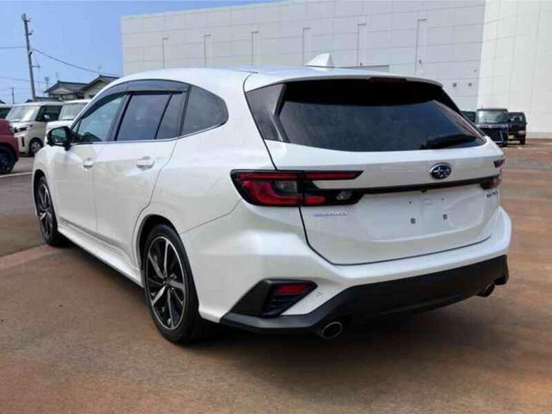 LEVORG