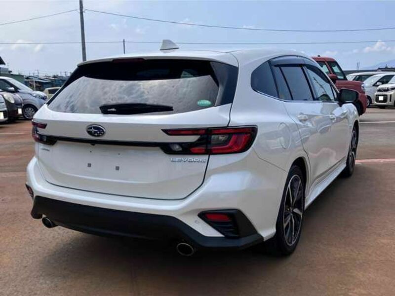 LEVORG