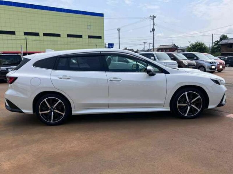LEVORG