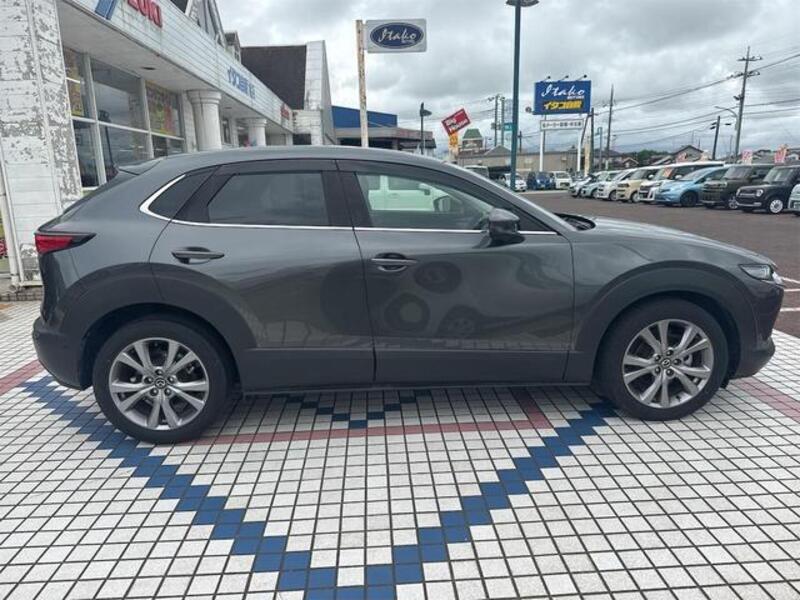 CX-30
