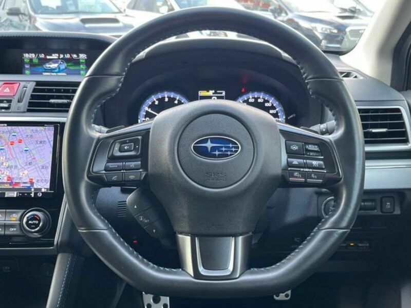 LEVORG