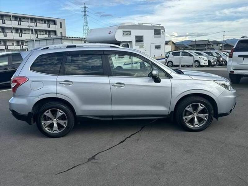 FORESTER