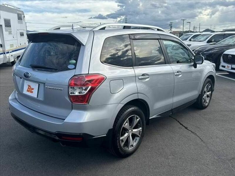 FORESTER