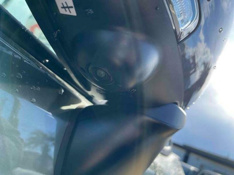 SOLIO BANDIT