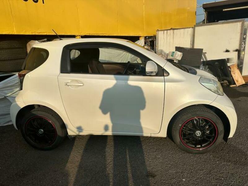 IQ