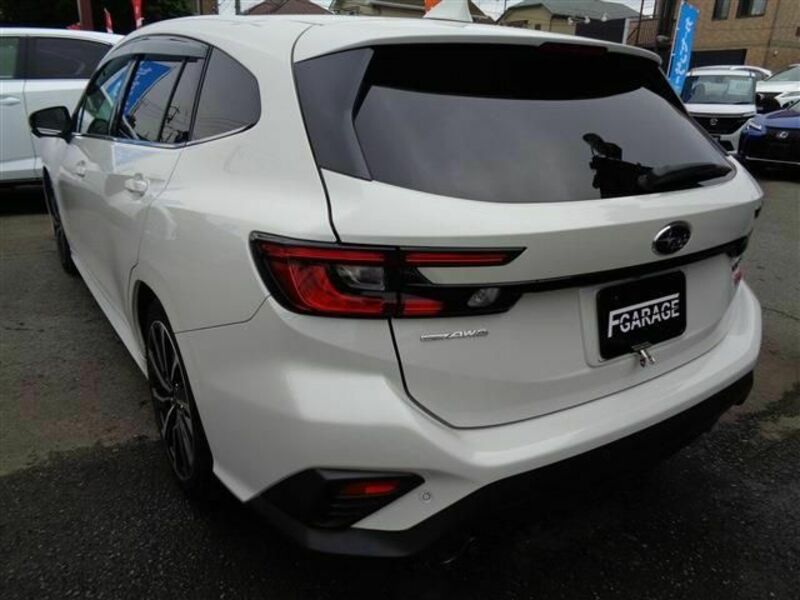 LEVORG