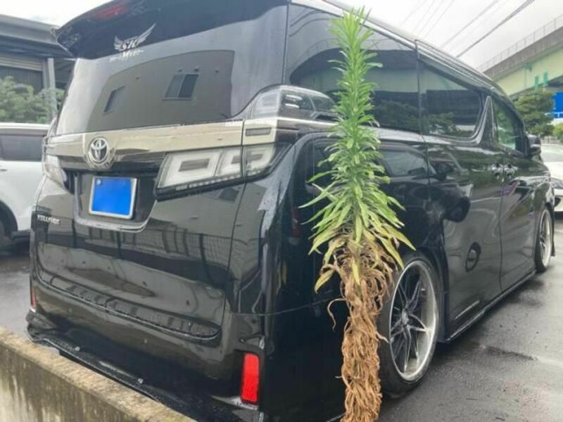 VELLFIRE