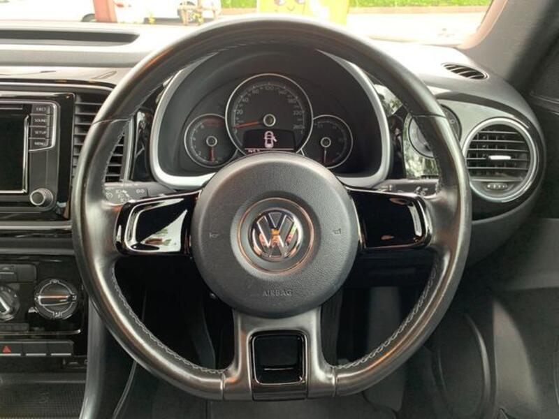 THE BEETLE