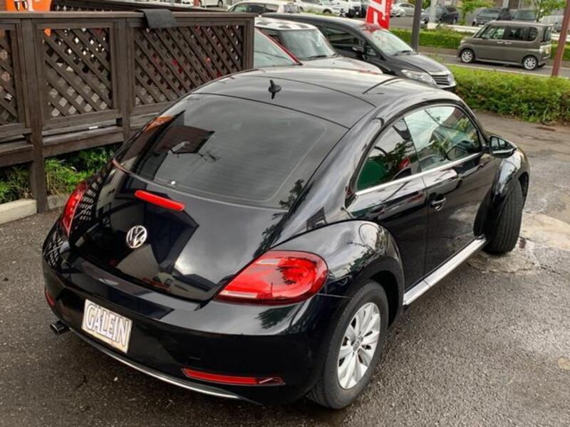 THE BEETLE
