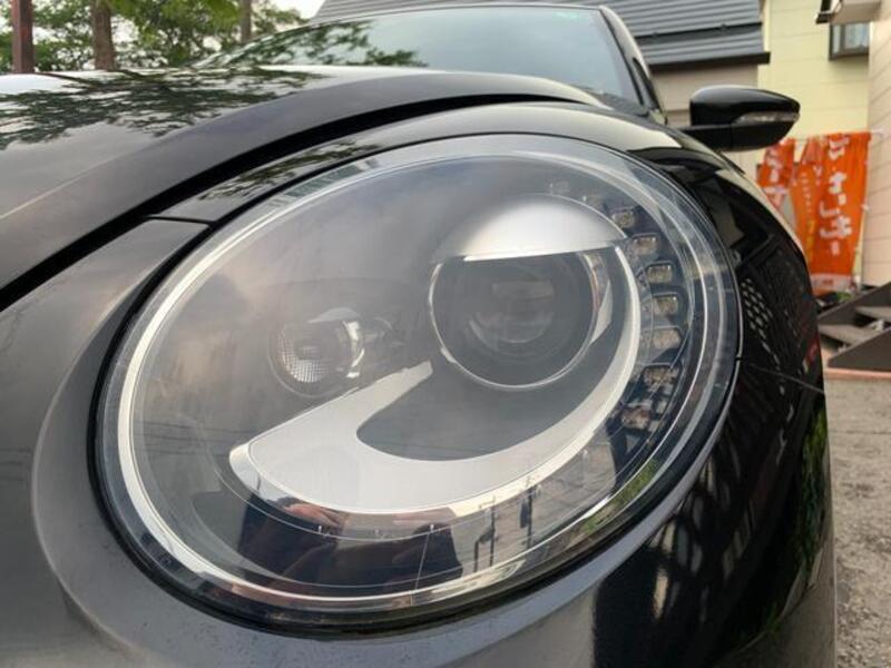 THE BEETLE