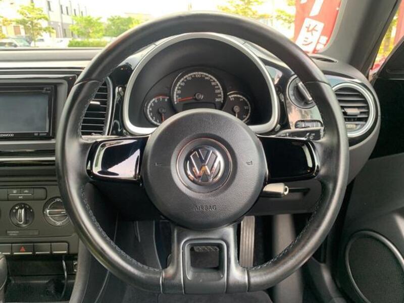 THE BEETLE