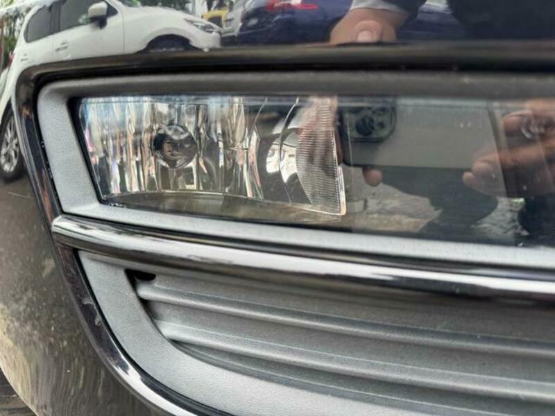 GOLF VARIANT