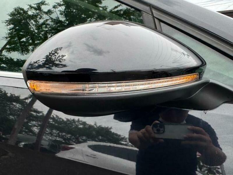 GOLF VARIANT