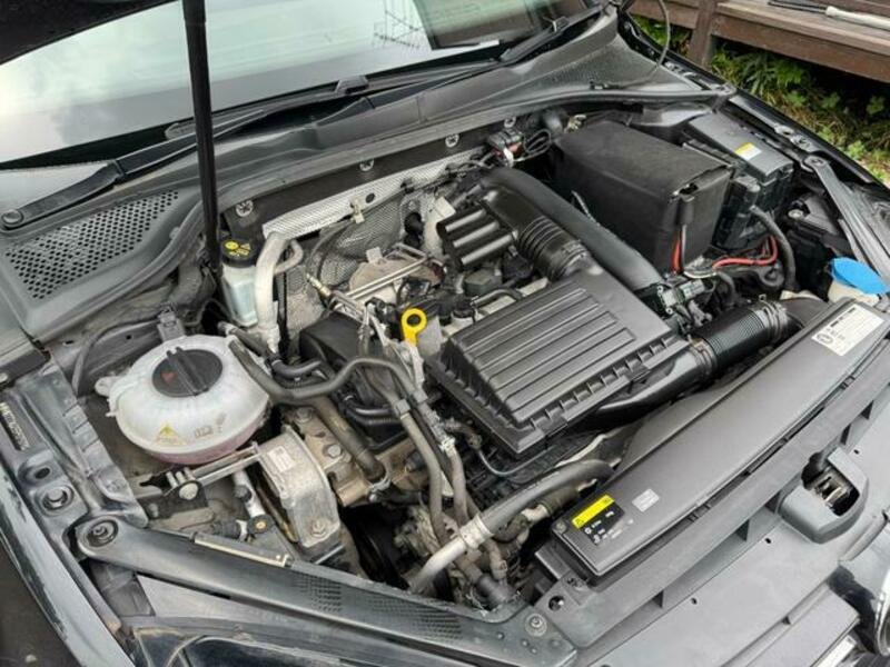 GOLF VARIANT
