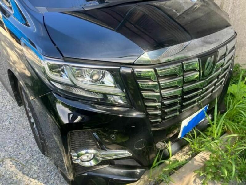 ALPHARD-0