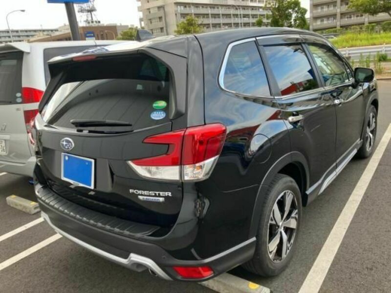 FORESTER