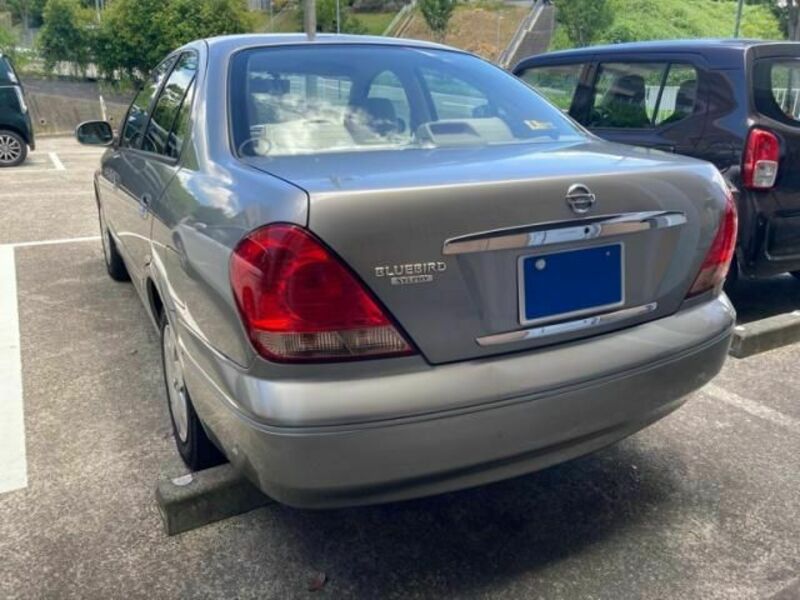 BLUEBIRD SYLPHY
