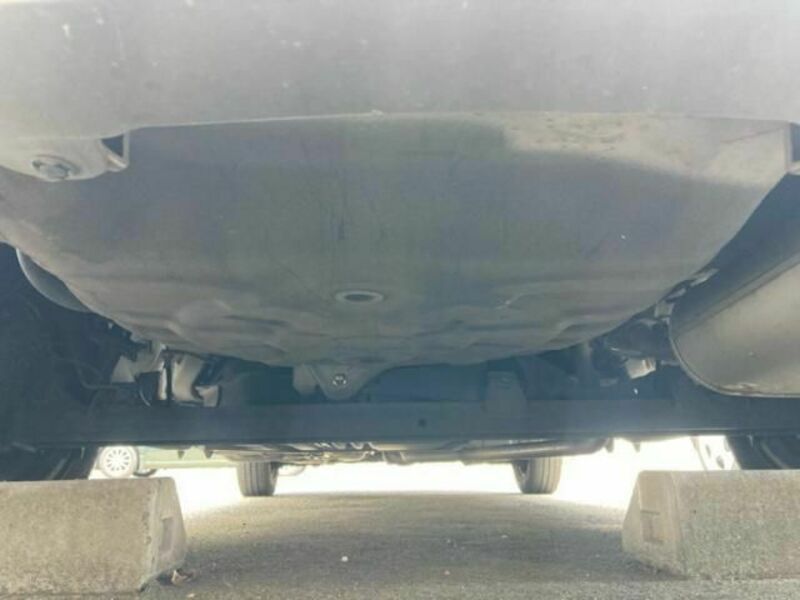 BLUEBIRD SYLPHY