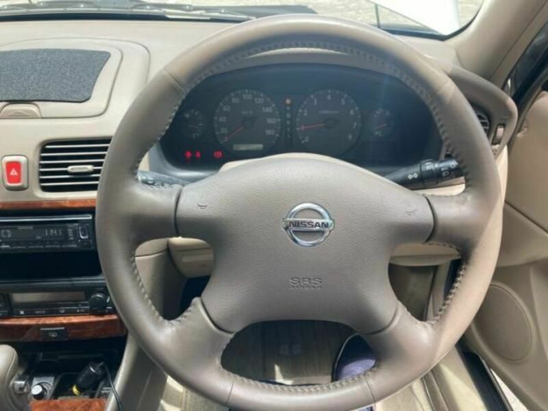 BLUEBIRD SYLPHY
