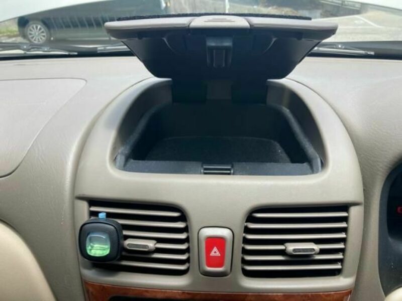 BLUEBIRD SYLPHY