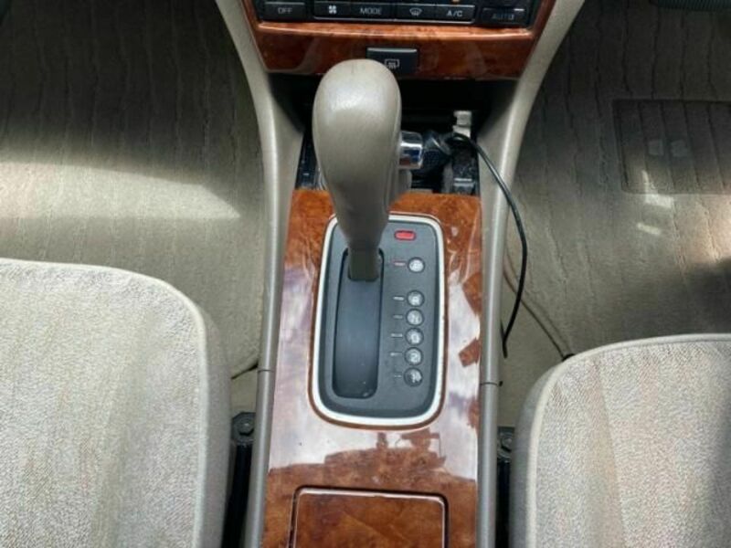 BLUEBIRD SYLPHY