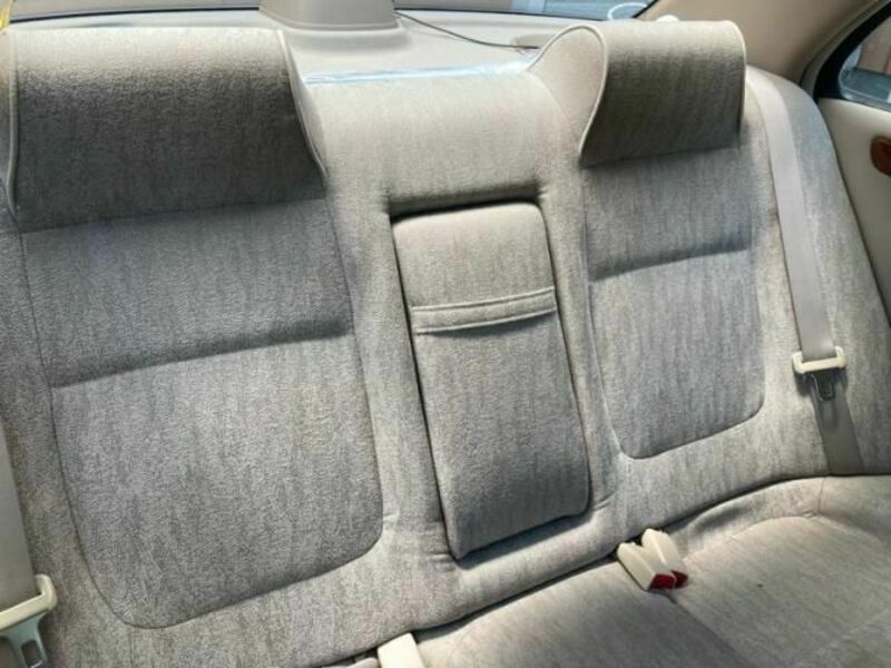 BLUEBIRD SYLPHY