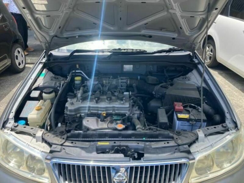 BLUEBIRD SYLPHY