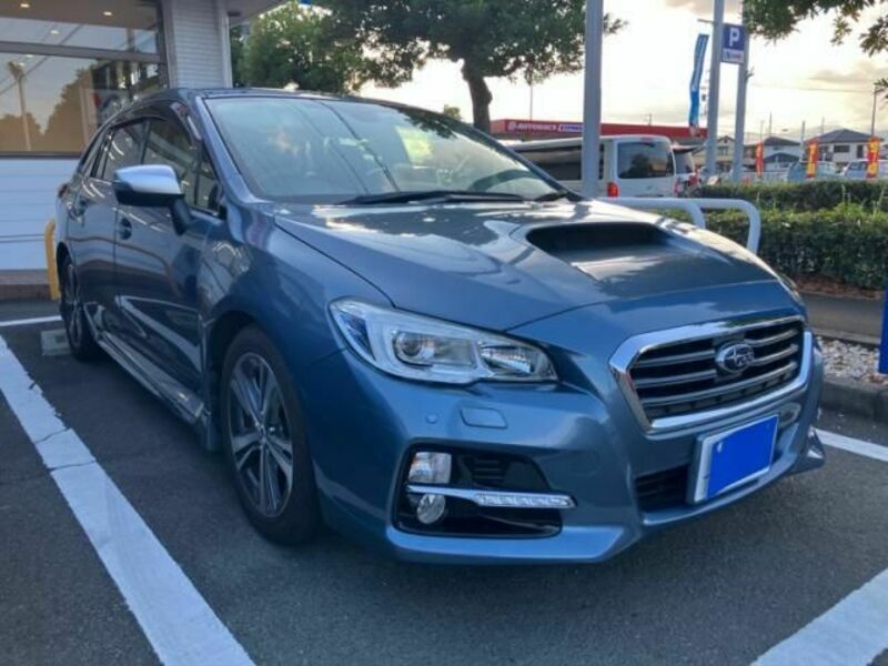 LEVORG