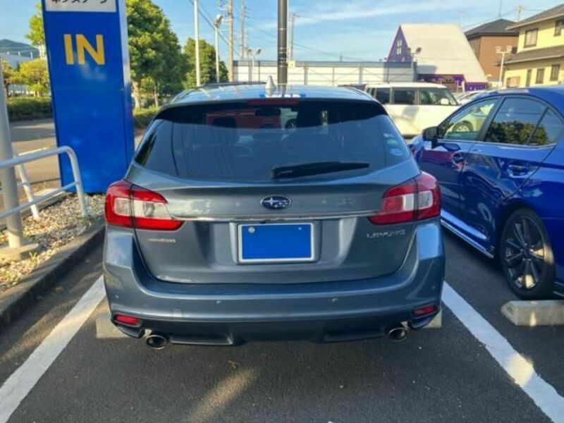 LEVORG