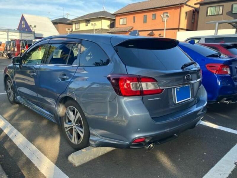 LEVORG