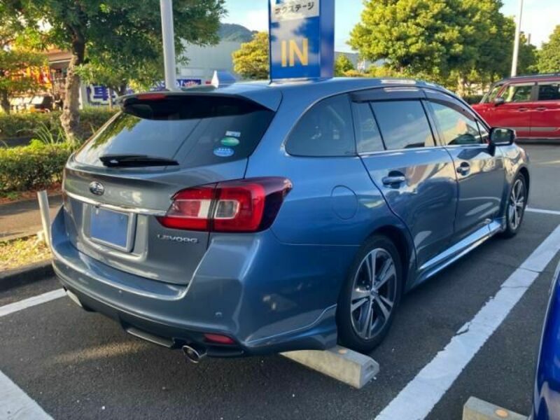 LEVORG