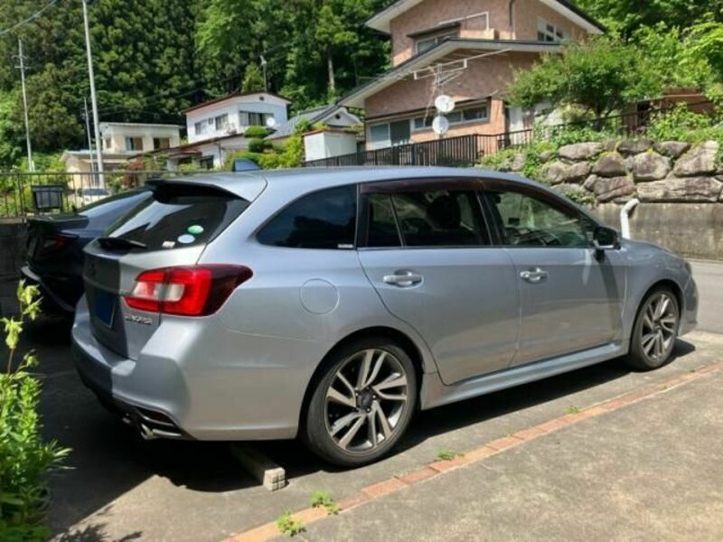 LEVORG