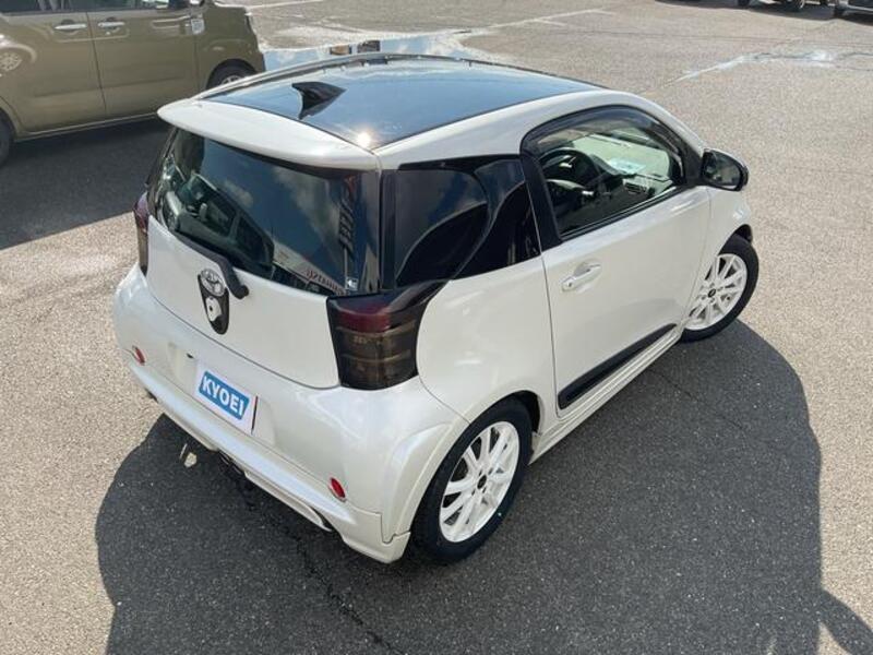 IQ