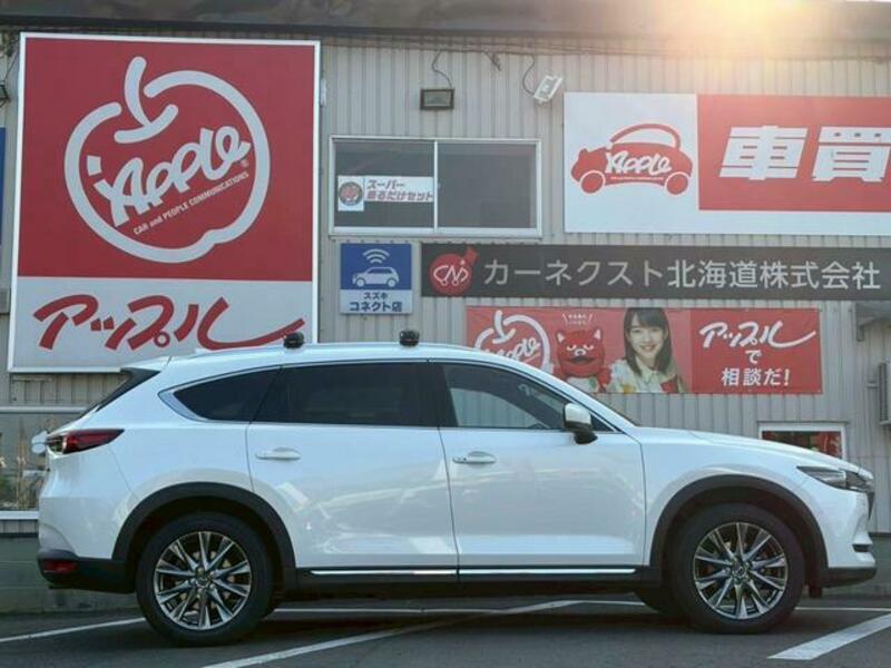 CX-8