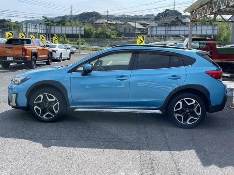 XV
