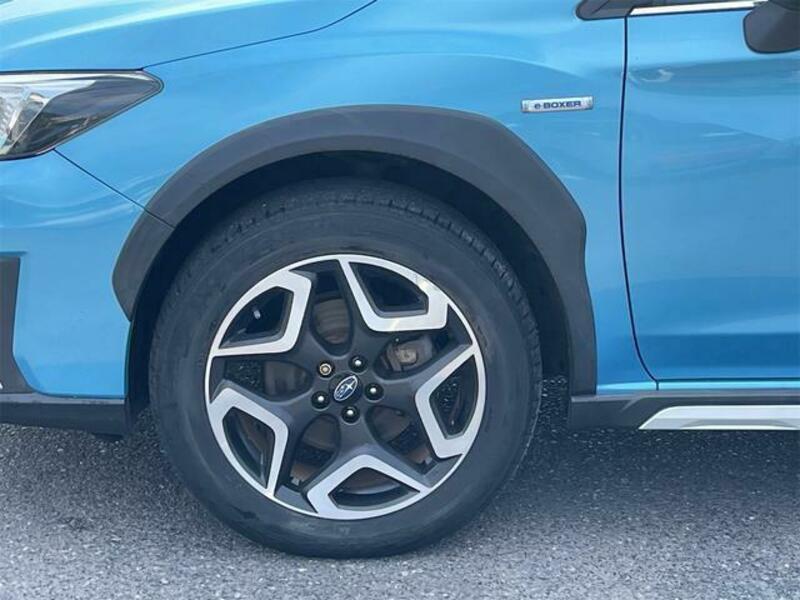 XV