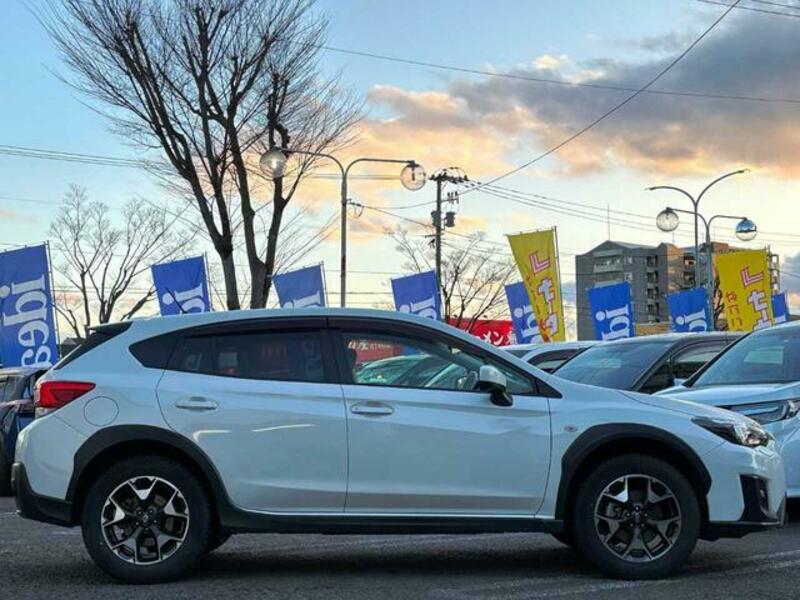 XV