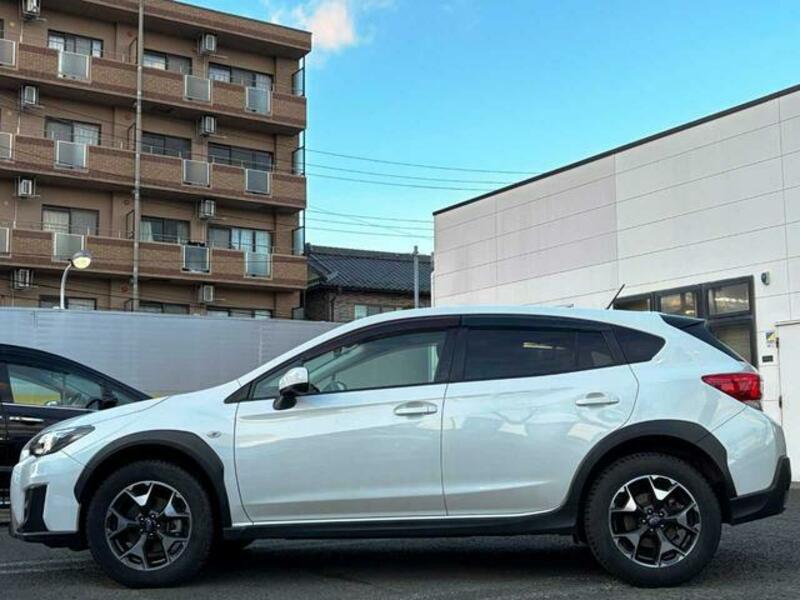XV