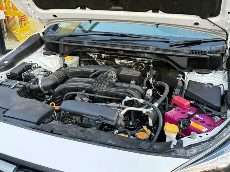 XV