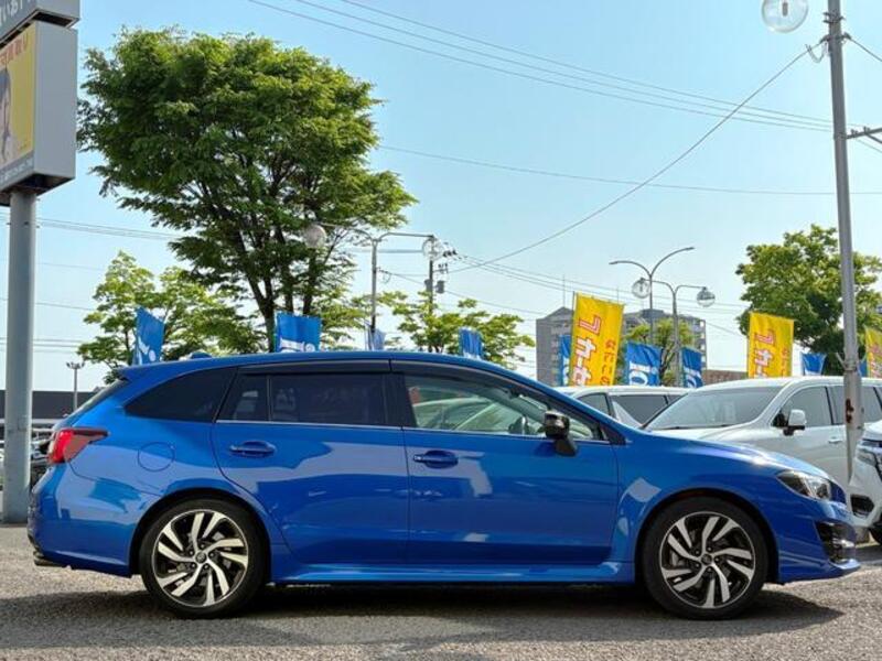 LEVORG