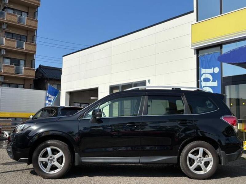 FORESTER