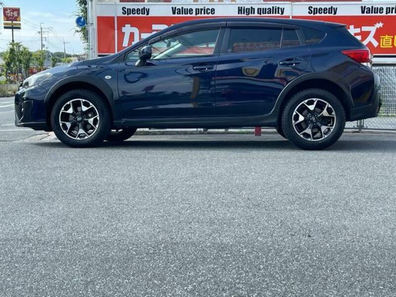 XV