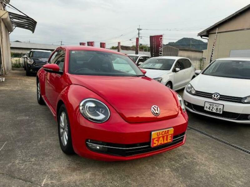 THE BEETLE