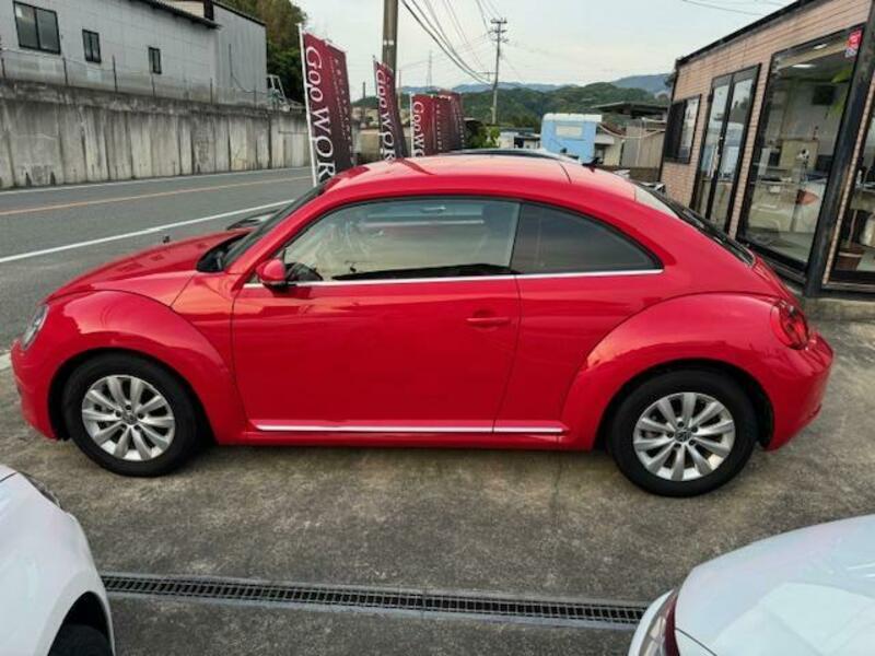 THE BEETLE